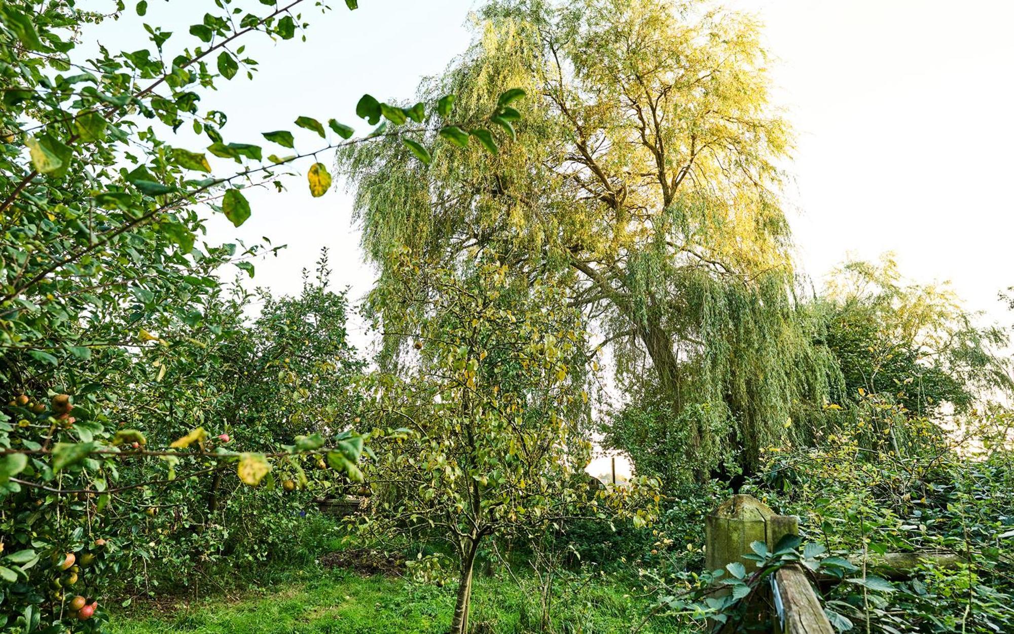 Nature Charm & Fruit Delights, Multi-Generation Celebratory Home -Try, Relax, Repeat - Sellindge Ашфорд Екстериор снимка